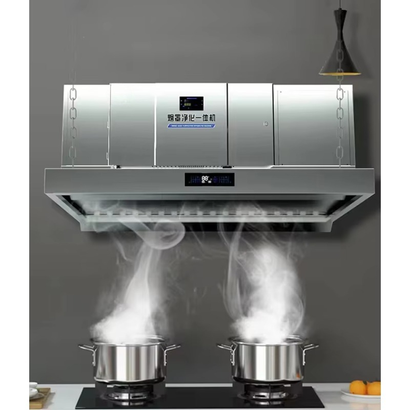 Customized Built in Electrosta - Commercial Kitchen Ventilation avis et prix