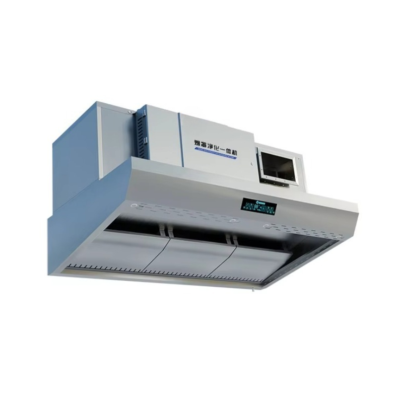 Customized Built in Electrosta - Commercial Kitchen Ventilation avis et prix