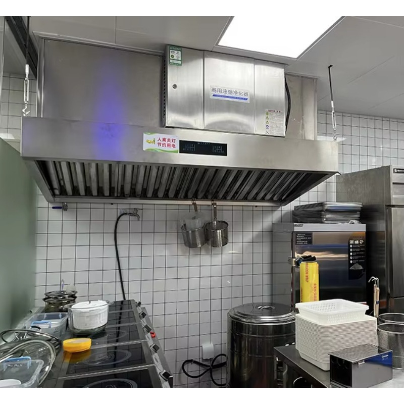 Customized Built in Electrosta - Commercial Kitchen Ventilation avis et prix